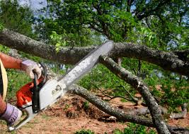 Best Utility Line Clearance  in Redwood Valley, CA